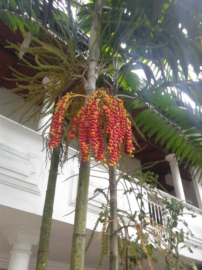 Hareesha Holiday Resort Galle Buitenkant foto